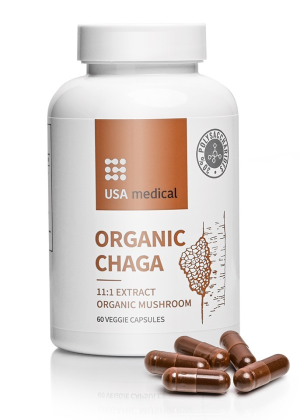 Organic CHAGA gyógygomba kivonat
